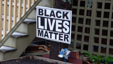 Just 3% of environmental professionals identified as non-white minorities